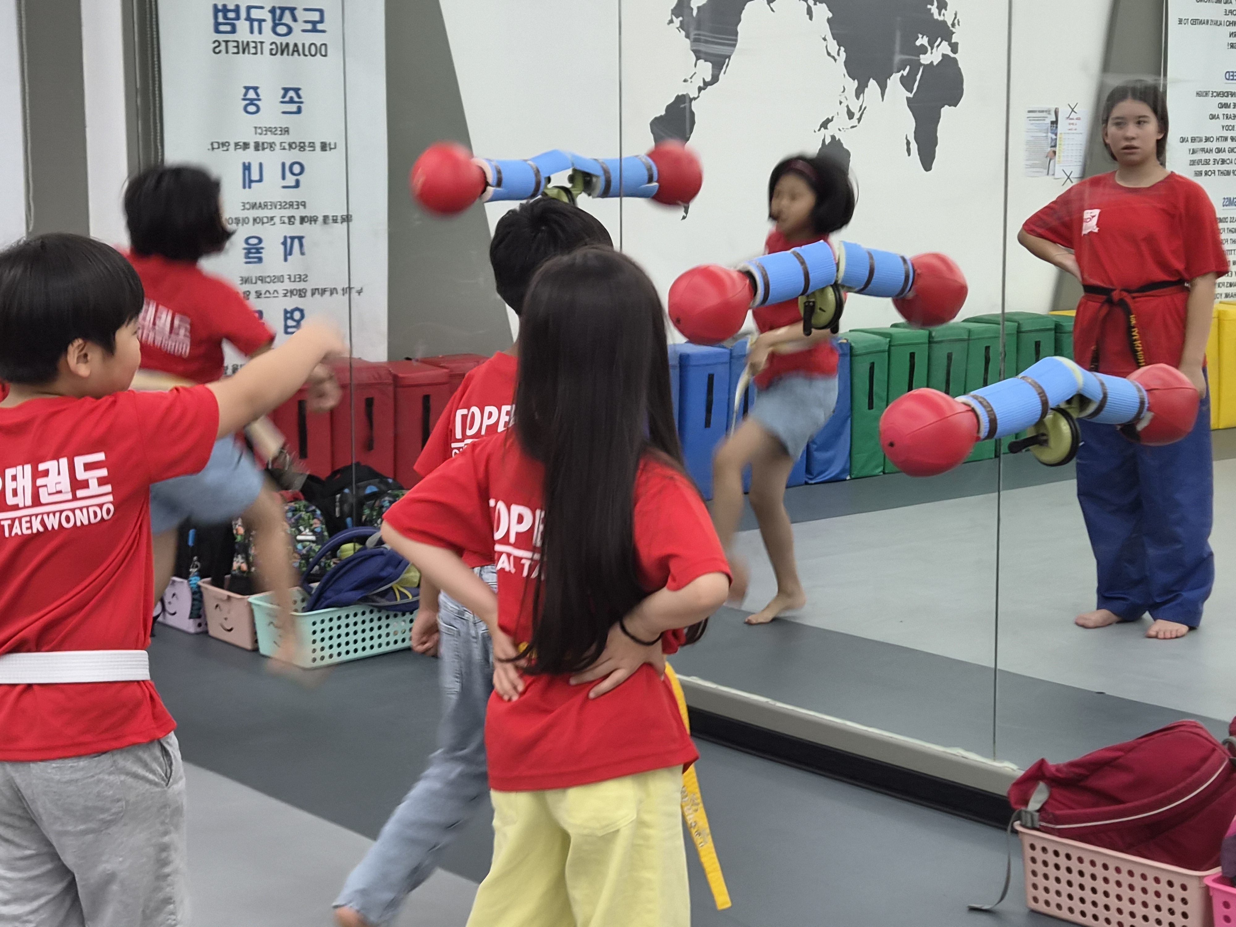 Taekwondo experience