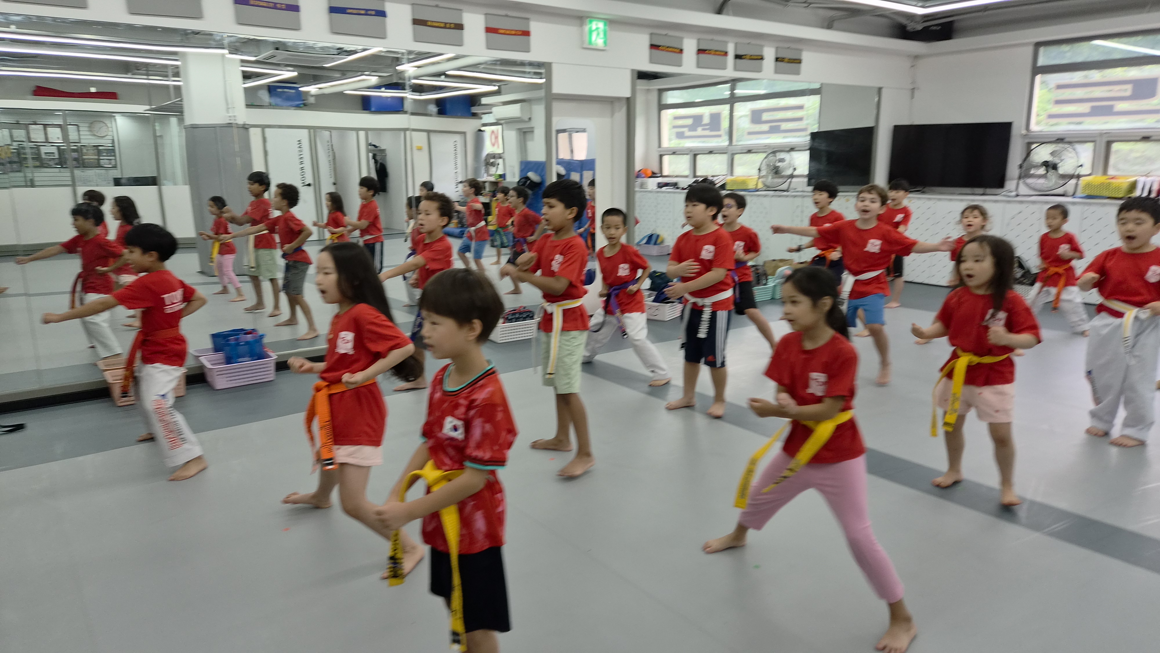 Taekwondo experience