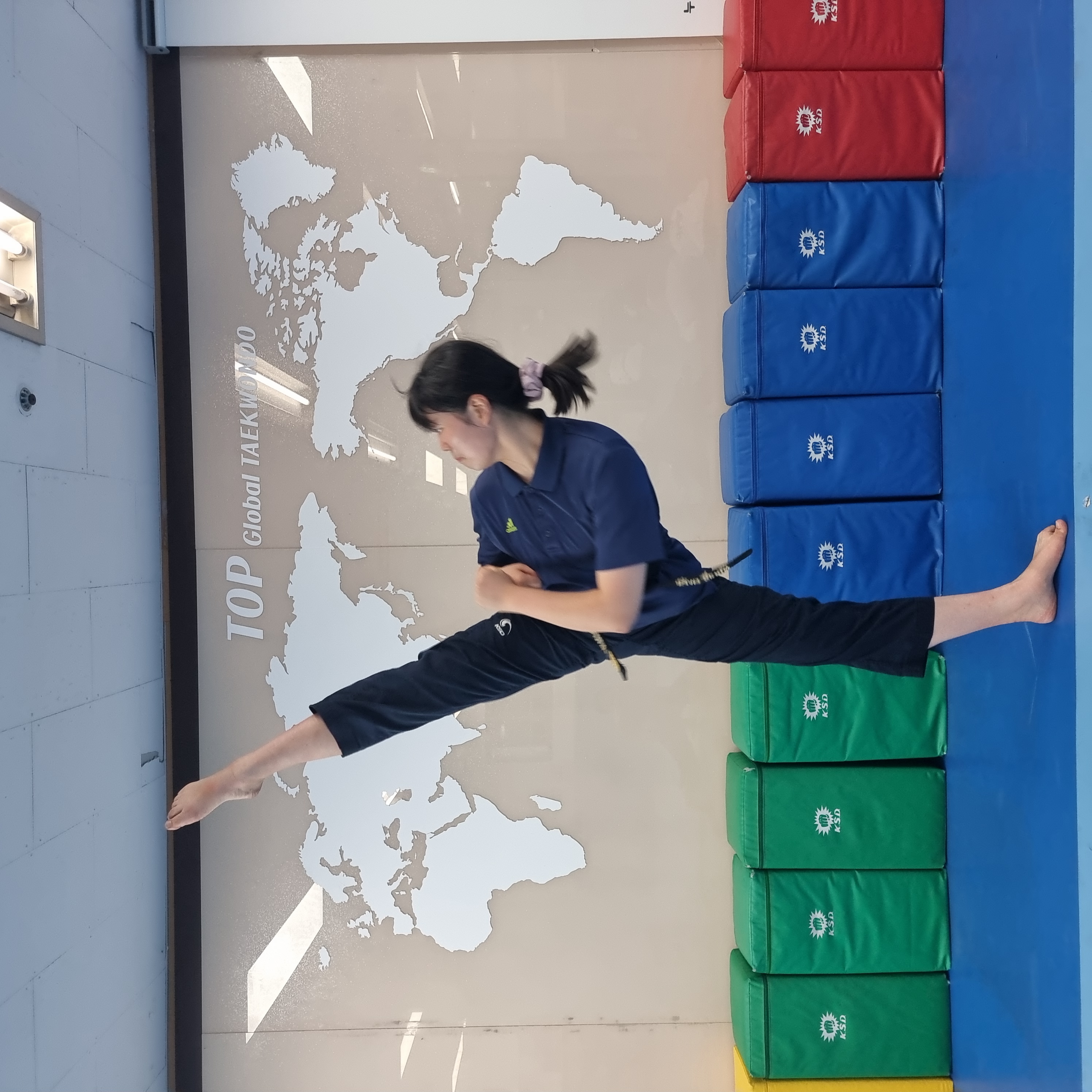 Taekwondo experience