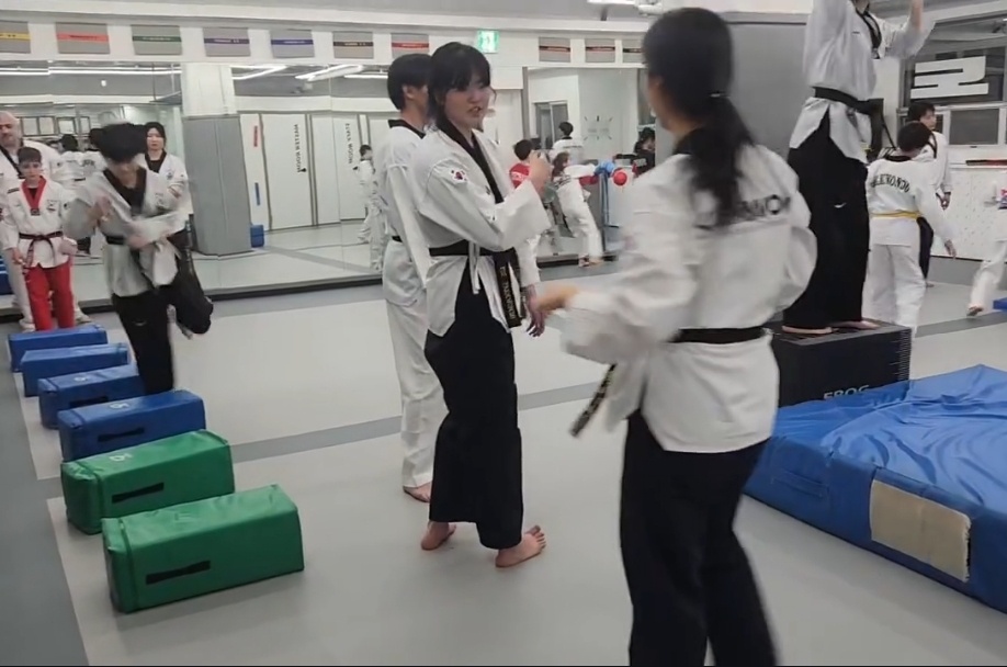 Taekwondo experience